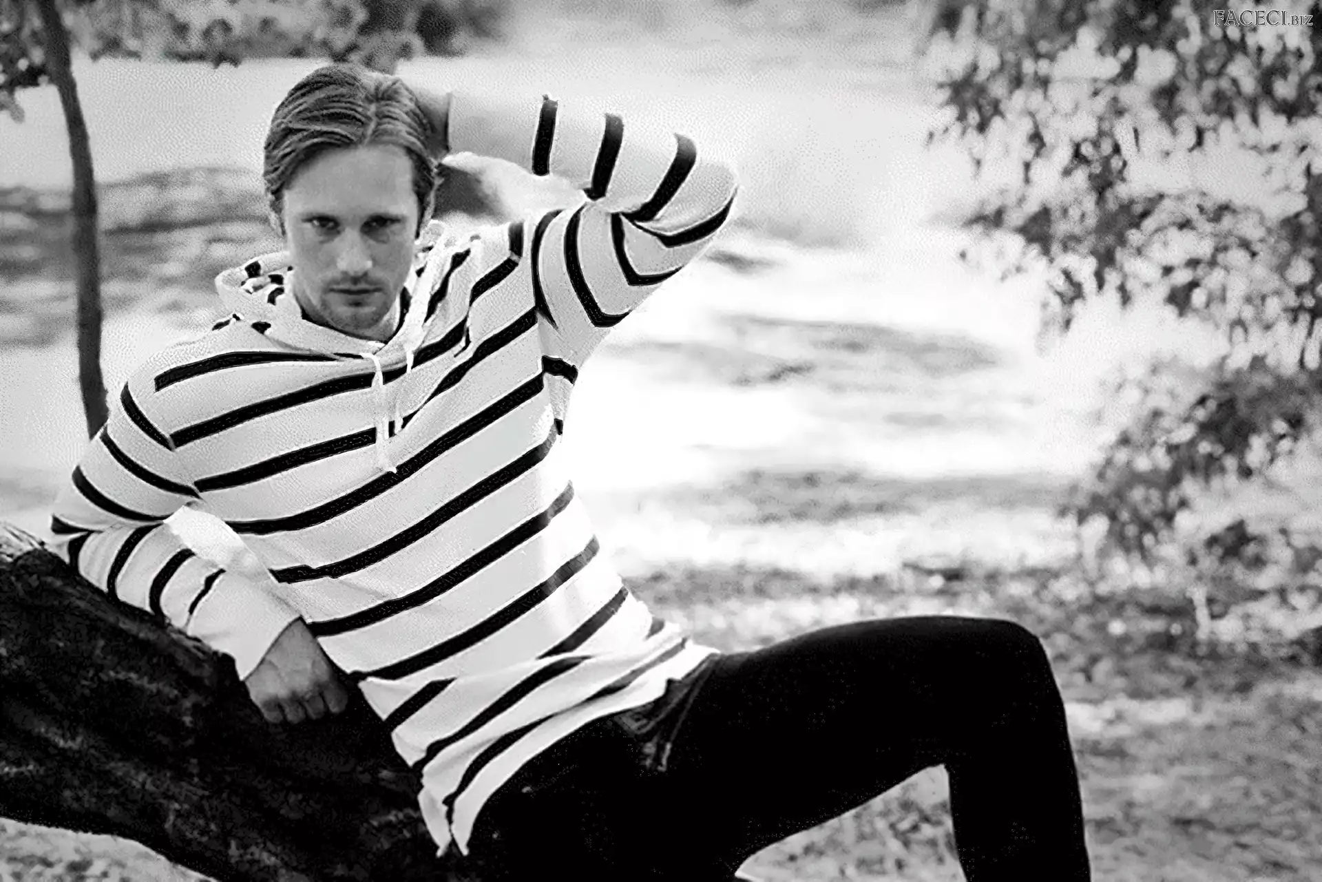 Alexander Skarsgard, Aktor