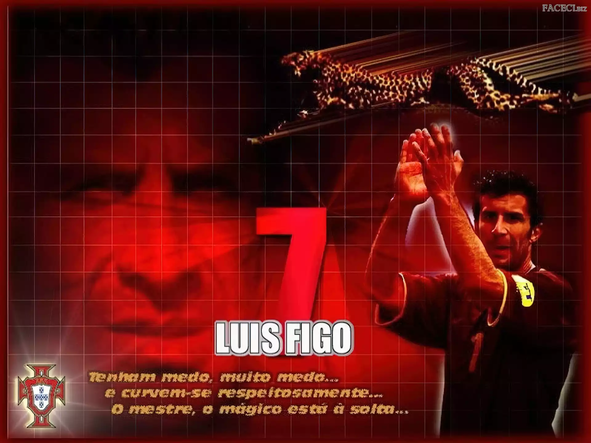 Piłka nożna, Luis Figo
