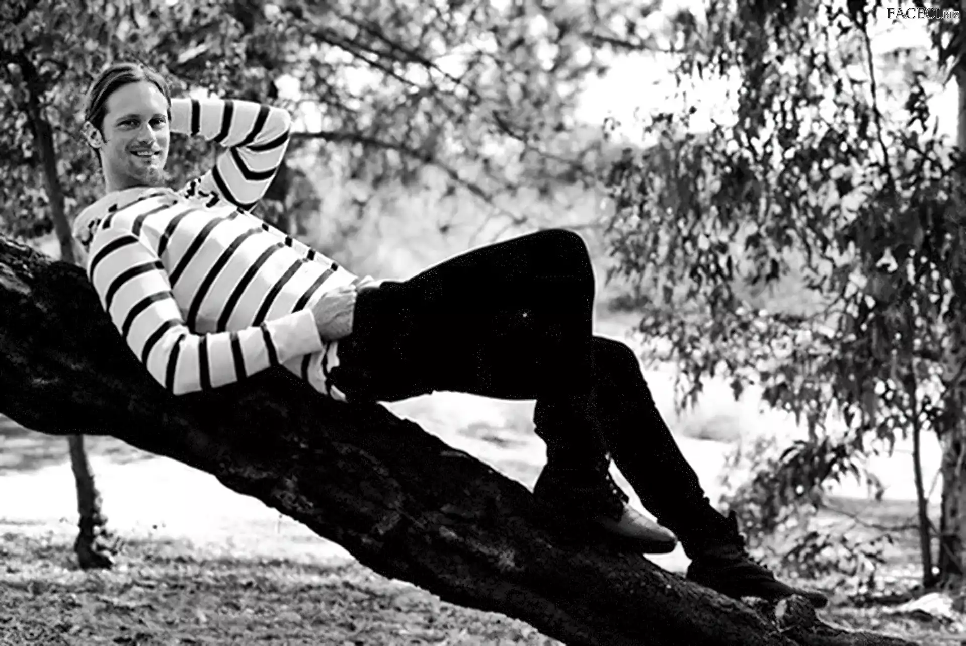 Drzewo, Alexander Skarsgard